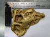 Золотой самородок Ухо дьявола весом 6,66 кг найден в Иркутской области