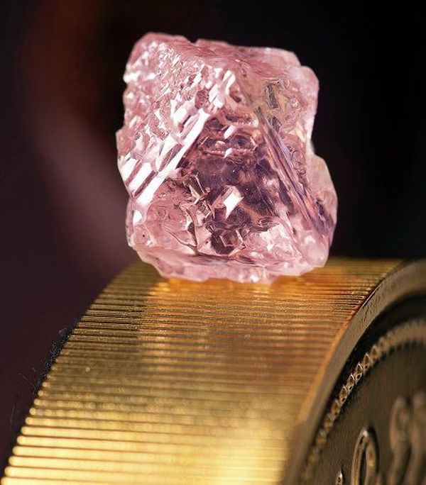Самые дорогие бриллианты в мире | Розовый бриллиант в 12,76 кар - самый крупный из редчайших драгоценных камней, когда-либо найденных в Австралии.