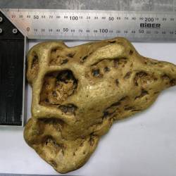 Золотой самородок Ухо дьявола весом 6,66 кг найден в Иркутской области